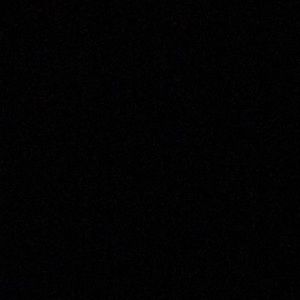 Meet your Posher, Ron